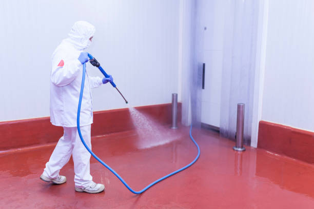 Best Gutter Cleaning  in Amesti, CA