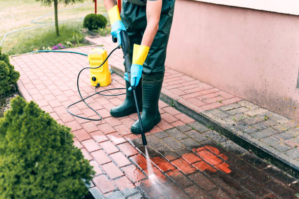 Best Dumpster Area Cleaning  in Amesti, CA
