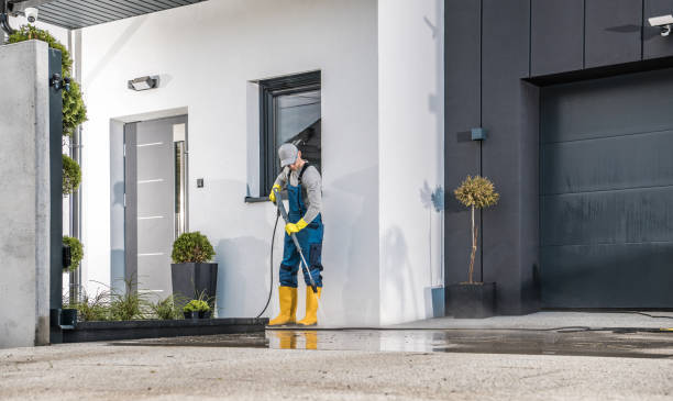 Best Solar Panel Cleaning  in Amesti, CA